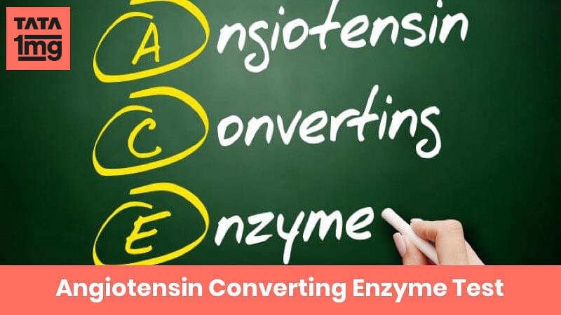 Angiotensin Converting Enzyme